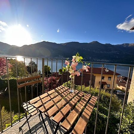 Casa Caterina Apartment Lezzeno Bagian luar foto